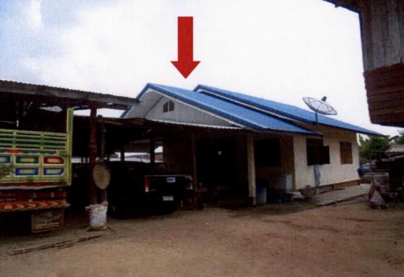 สาหร่าย ชุมพวง นครราชสีมา