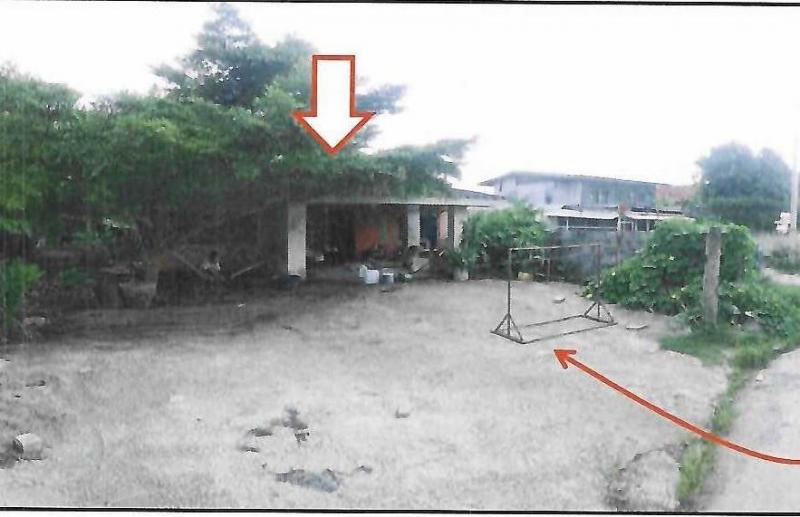 ลาดบัวขาว สีคิ้ว นครราชสีมา